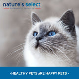 Select Feline Classic Nutrition Recipe Feline Classic Recipe brand photo siamese kitten