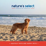 Range Hearty Recipe - Grain Free Beef Grain Free Range Hearty Recipe picture golden retriever on the beach
