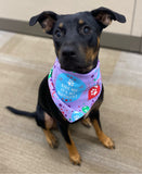 Doggie Dannas Doggie Dannas "Kiss me it's my birthday" bandana on black and rust mix dog