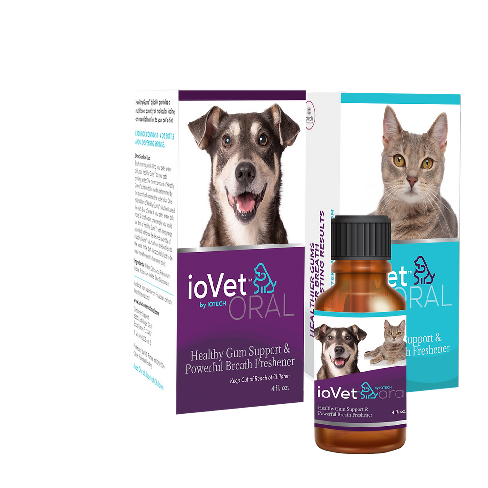 Iodine supplement for dogs best sale